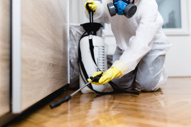 Best Best Pest Control Companies  in Wilson, AR