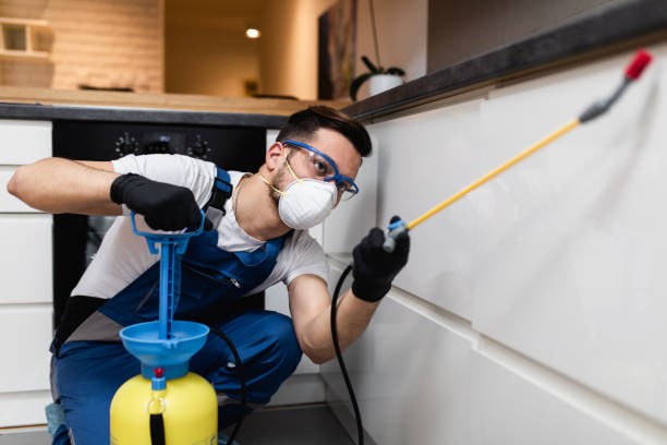 Best Flea Control Services  in Wilson, AR