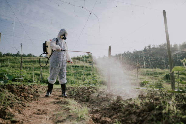 Best Pest Removal Services  in Wilson, AR