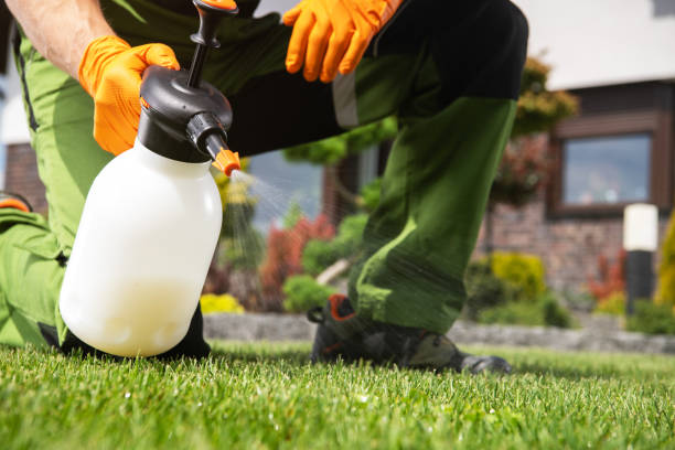 Best Emergency Pest Control  in Wilson, AR