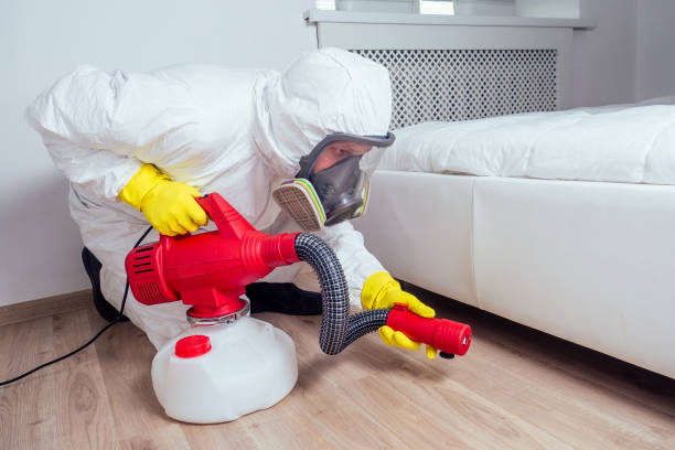 Best Pest Inspection Near Me  in Wilson, AR