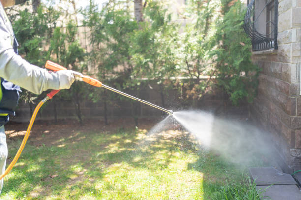 Best Pest Control Near Me in Wilson, AR
