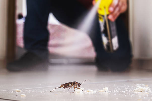 Best Termite Control Services  in Wilson, AR