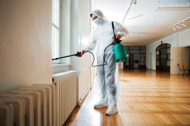 Best Local Pest Control Services  in Wilson, AR