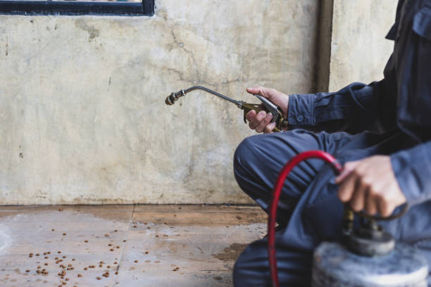Best Residential Pest Control  in Wilson, AR